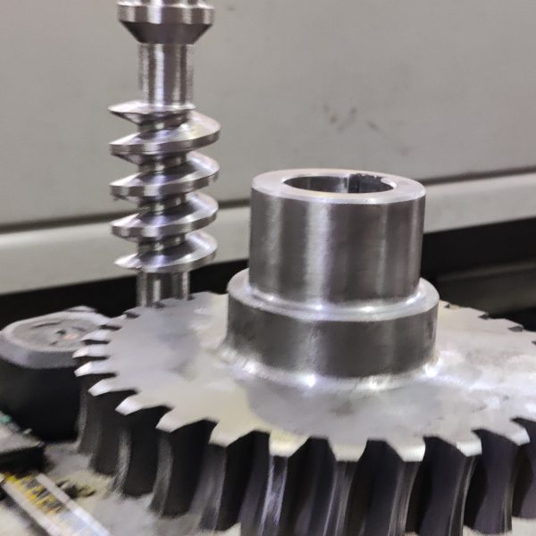 ترس و حلزونة