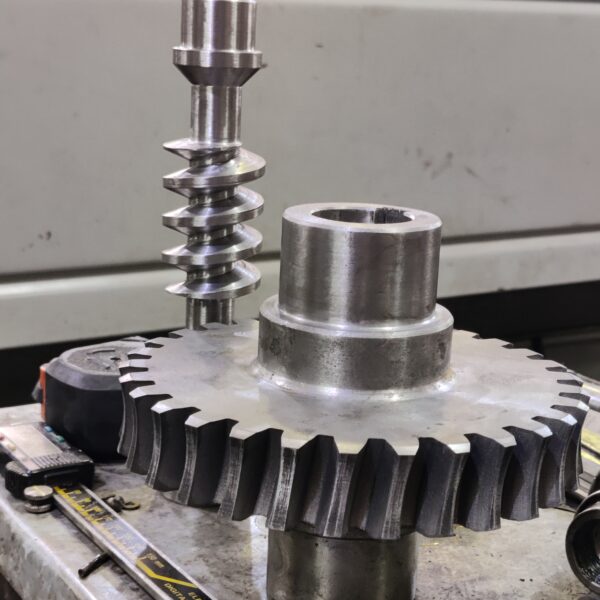 ترس صلب و حلزونة (مجموعة جيربوكس)